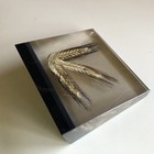 Lucite Acrylic Clear Black Farmer Desk Accessory Paperweight Wheat Glumes Canada — photo 5