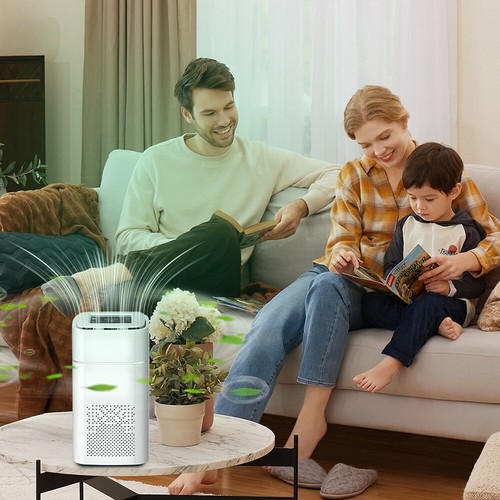 Purificador De Aire Para Alergias Virus Y Bacterias Para 1268 Sq Casa El Cuarto - Picture 7 of 10