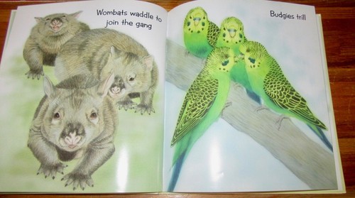 The Bedtime Band ~ Michelle Worthington & Sandra Temple. 1st Hb. UNread in MELB - Picture 13 of 22