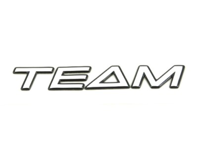 Genuine New RENAULT TEAM GEL BADGE Emblem For Clio Captur Kadjar Scenic Meagane
