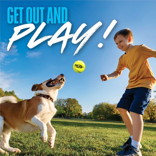 2.5-inch Squeak Tennis Ball Dog Toy, 3-Pack - Picture 7 of 11