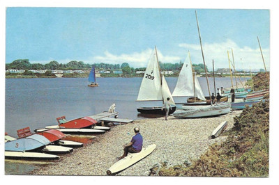 Pagham : The Lagoon: Yachten : near Bognor Regis