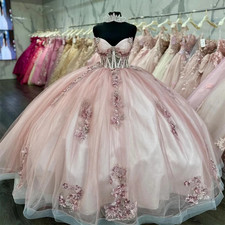Pink Quinceanera Dresses Ball Gown 3DFloral Applique TulleBirthday Party Sweet16