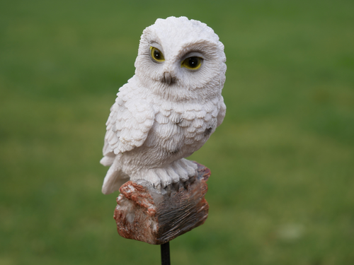 White Owl On Stake Ornament Statue Sculpture Garden Patio Animal Bird Decor Gift - Picture 11 of 12