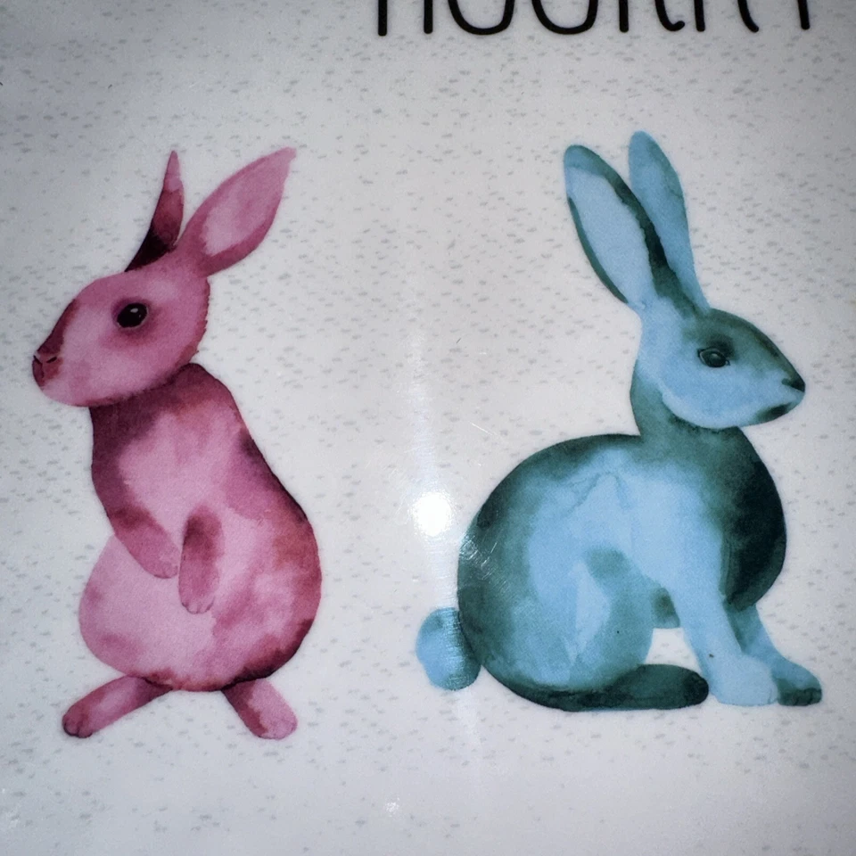 4 platos de ensalada/postre Nicole Miller Hip Hop Horray Bunny Rabbit MELAMINA USADOS EN EXCELENTE ESTADO Foto 3 de 4