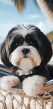 Shih Tzu Black/White Summer Fun Beach Towel