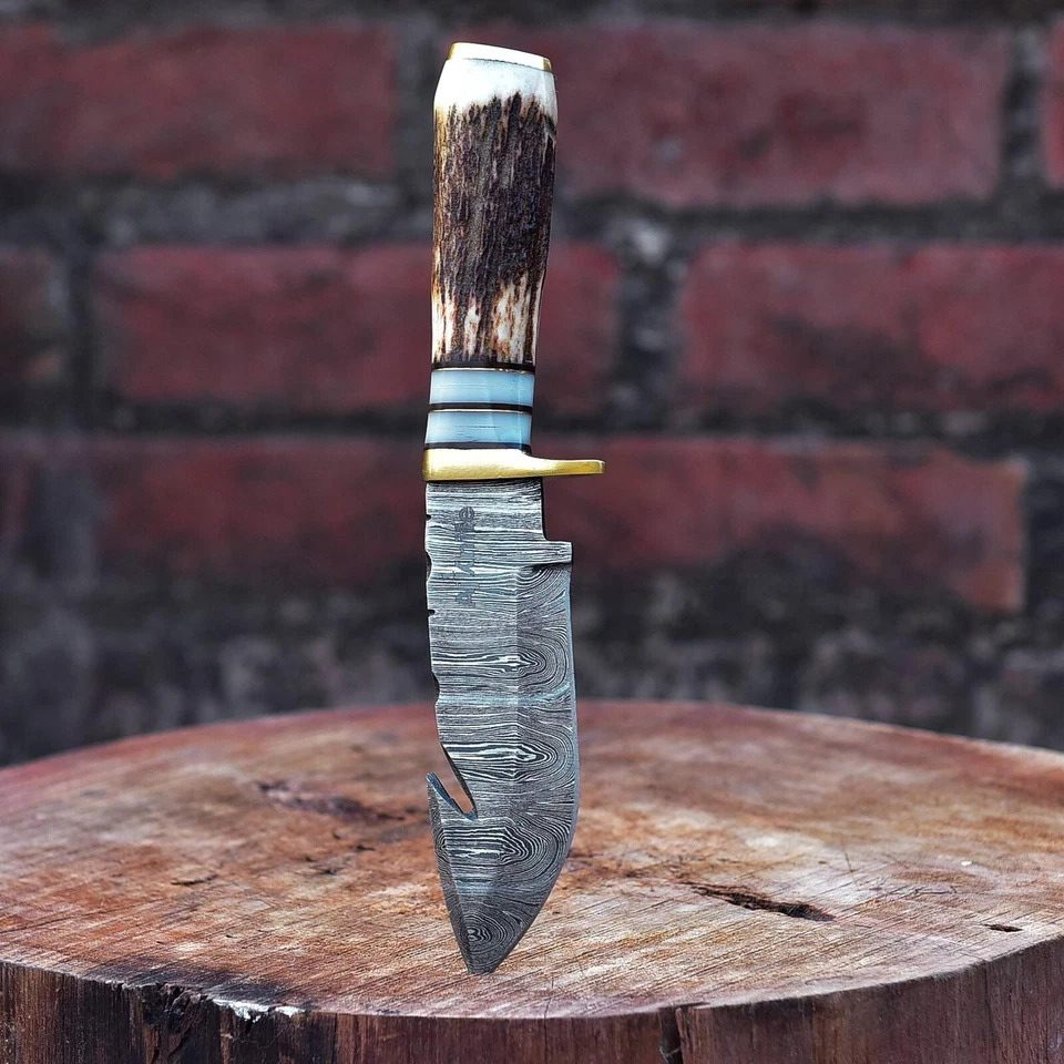 Cuchillo de caza de hoja fija de acero Damasco hecho a mano de colección mango de asta de ciervo Foto 4 de 4