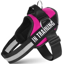 Essential Dog Harness with 3 Leash Clips - No-Pull, Adjustable, Comfortable P...