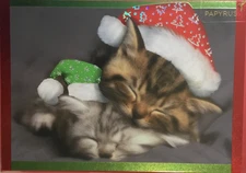 Papyrus- Christmas- Love- Two Kittens Snuggling- Foil