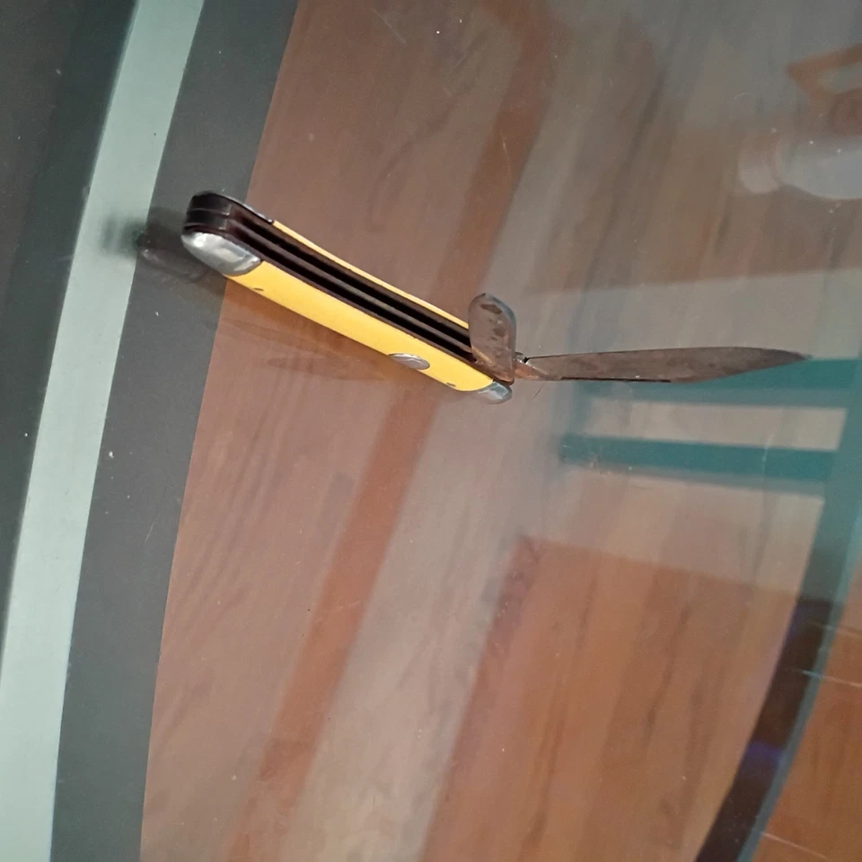 Faca de bolso vintage 3,25" Prov R.I. U.S.A. duas lâminas, cabo amarelo de celulóide - Imagem 3 de 3