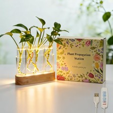 Plant Propagation Station with LED Grow Light, Wooden Stand  4 Glass Tubes