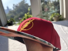 The Flash Six Flags Amusement Park Snapback Baseball Cap Hat