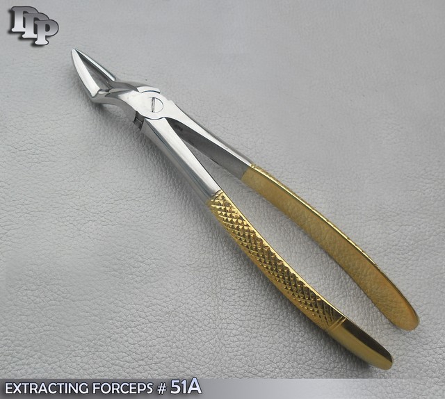 EXTRACTING FORCEPS 51A GOLD PLATED DENTAL SURGICAL INSTRUMENTS eBay