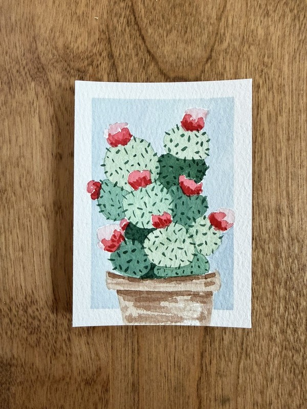 ACEO Original cactus plant, botanical illustration watercolor floral 2.5 x 3.5in