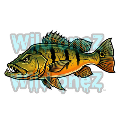 Aggressive Peacock Bass Fishing Sticker 7'' Waterproof  Fishing Sticker