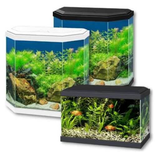 Ciano Aqua Aquarium 20 LED 30 Hex Lighting Hood Filter Beginner Glass Fish Tank - Picture 1 of 28