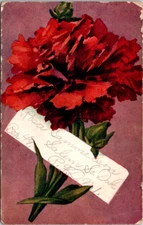 Vintage Postcard Salem South Dakota Red Carnation Flower