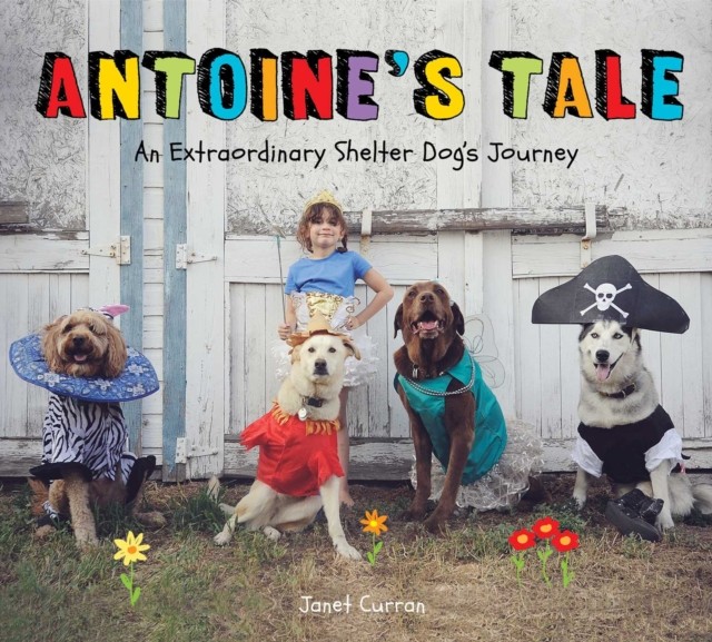 Antoine's Tale by Janet Curran (Hardback Book)