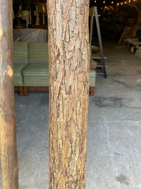 Cama de tamaño completo vintage de tronco rústico de nogal americano  Foto 3 de 4