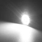 Bild 7 von 12