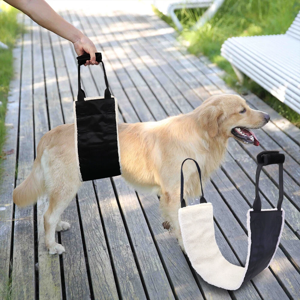 Dog rear top lift sling