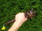 Bild 2 von 7