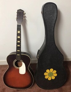 vintage-1950s-60s-silvertone-acoustic-guitar-W-Hippie-Flower-Case