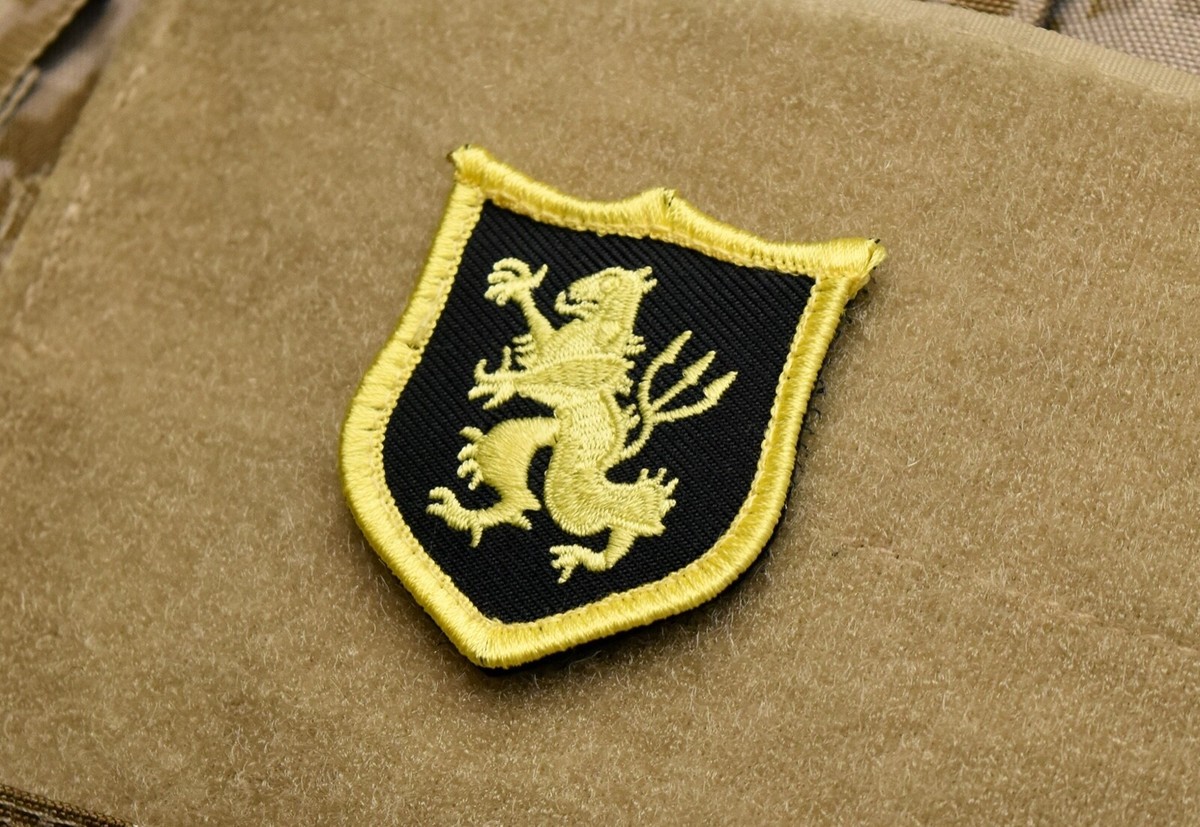 Nswdg Navy Seal Team 6 Devgru Lion Gold Squadron Blue 2AFTER1 US Navy