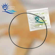 R0446300  Pool Pump Backplate O'ring  Replacement For Jandy E-Pump Series