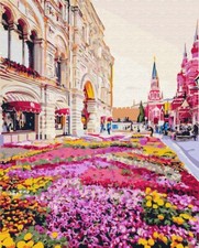 Paint By Numbers Adults kids City Flowers DIY Painting Kit 40x50CM Canvas