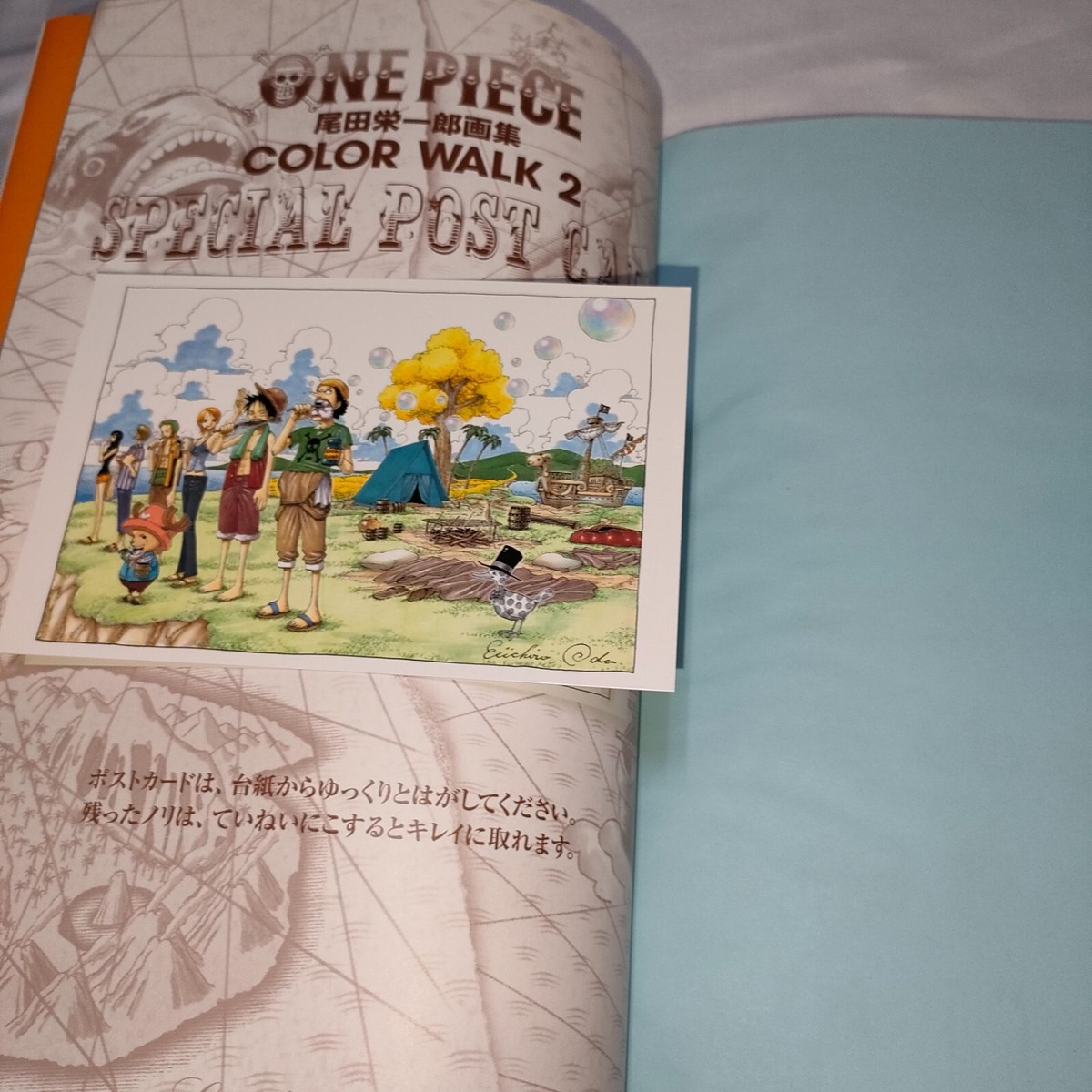 ワンピース ONEPIECE 画集 イラスト 1~10 color walk ワンピース」尾田栄一郎の画集第10弾が発売！「名探偵コナン