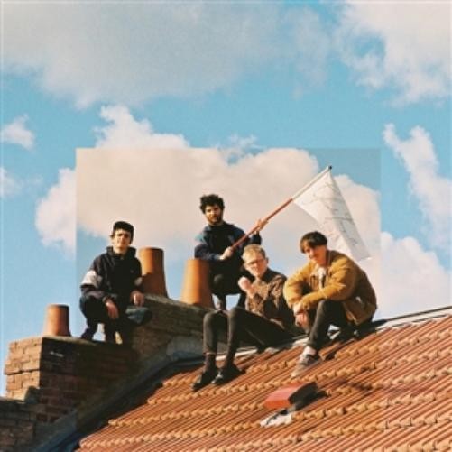 Пластинки Slow Sliders Glissade Tranquille (винил) (ИМПОРТ ИЗ Великобритании)