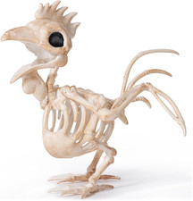 Rooster Skeleton Halloween Decoration 6.89 Inch Animal Skeleton Plastic Bones Wi