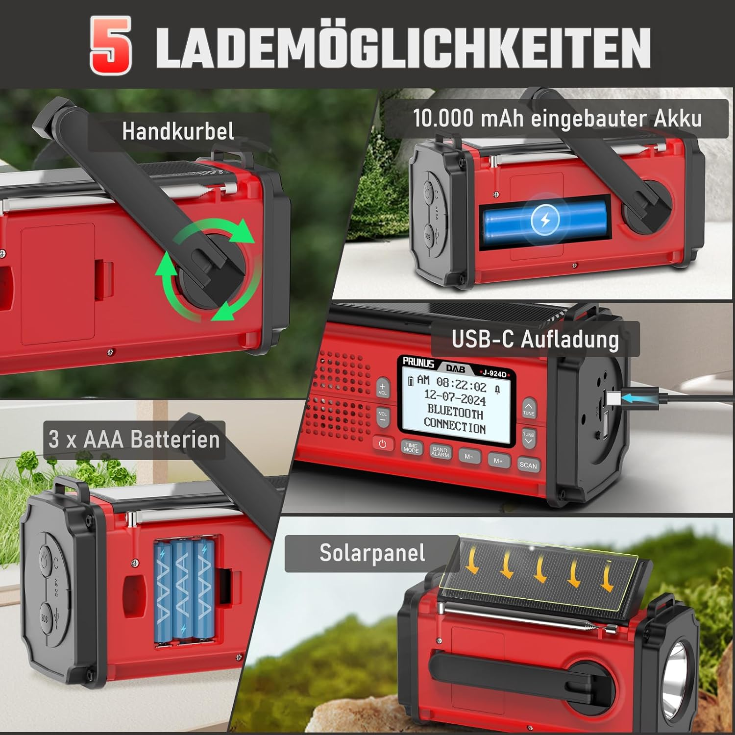 Bild 5 von 7