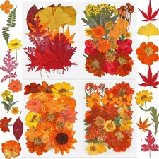 100 PCS Real Fall Dried Pressed Flowers Leaves Fall Natural Dried Flowers Lea...