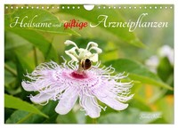 Calendar 2027 · US Version · Medicinal And Poisonous Plants (Wall Calendar 2027