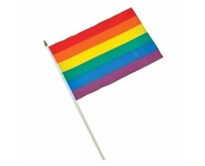12 Pack Rainbow Pride Flag 12x18 Inch 12" x 18" Hand Flag On Stick LGBTQIA 