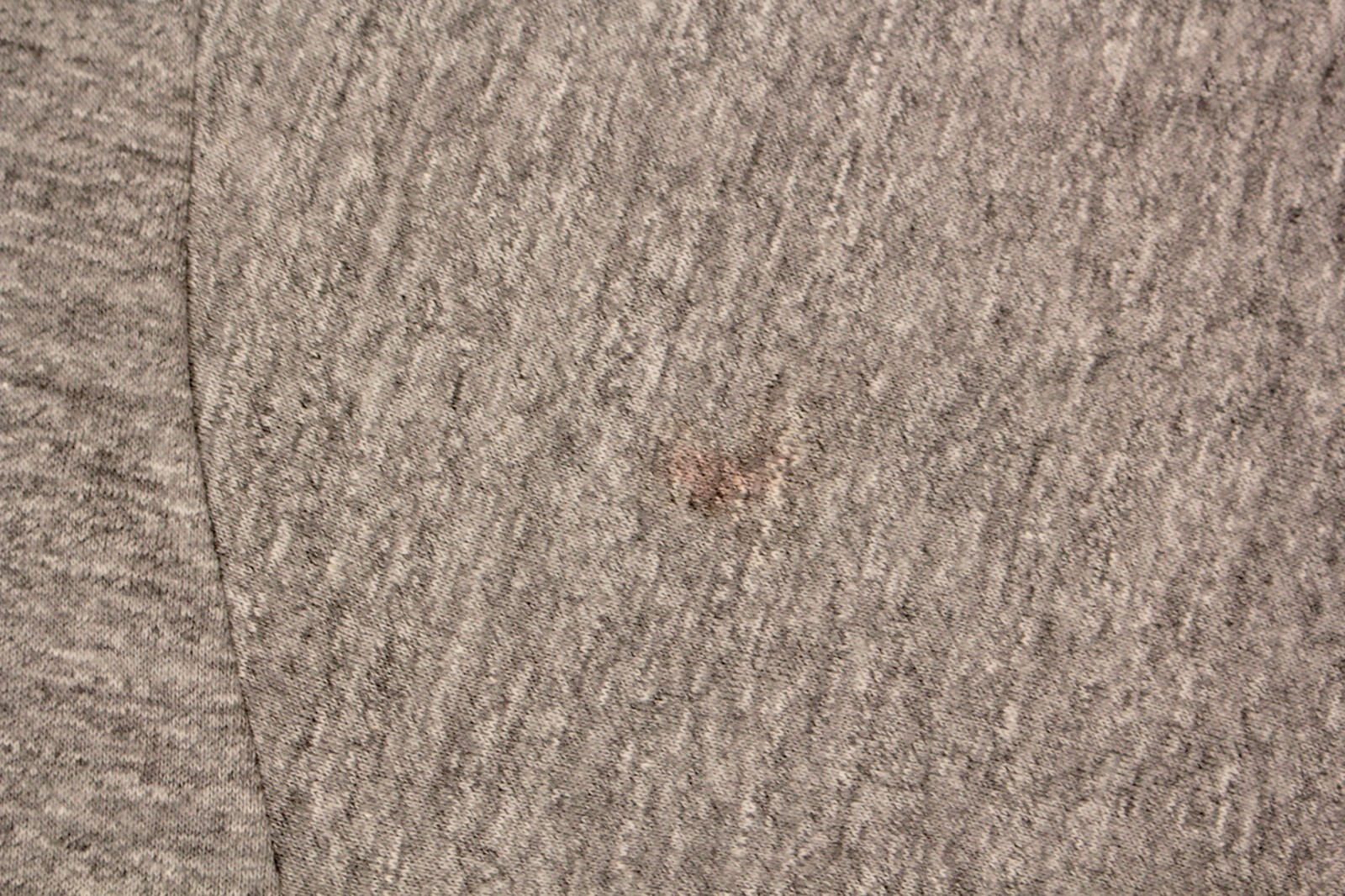 Picture 6 of 6
