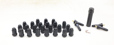 NEW Pro Comp 24-Piece M12×1.5 Spline Lug Nut Kit Black w/ Valve Stems PXA11134B