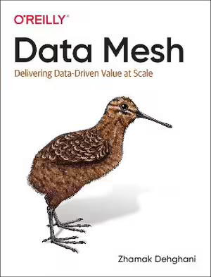 Data Mesh: Delivering Data-Driven Value at Scale by Dehghani, Zhamak [Paperback]