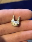 Unique And Rare Carved Civil War Bullet Carved Into A Tooth