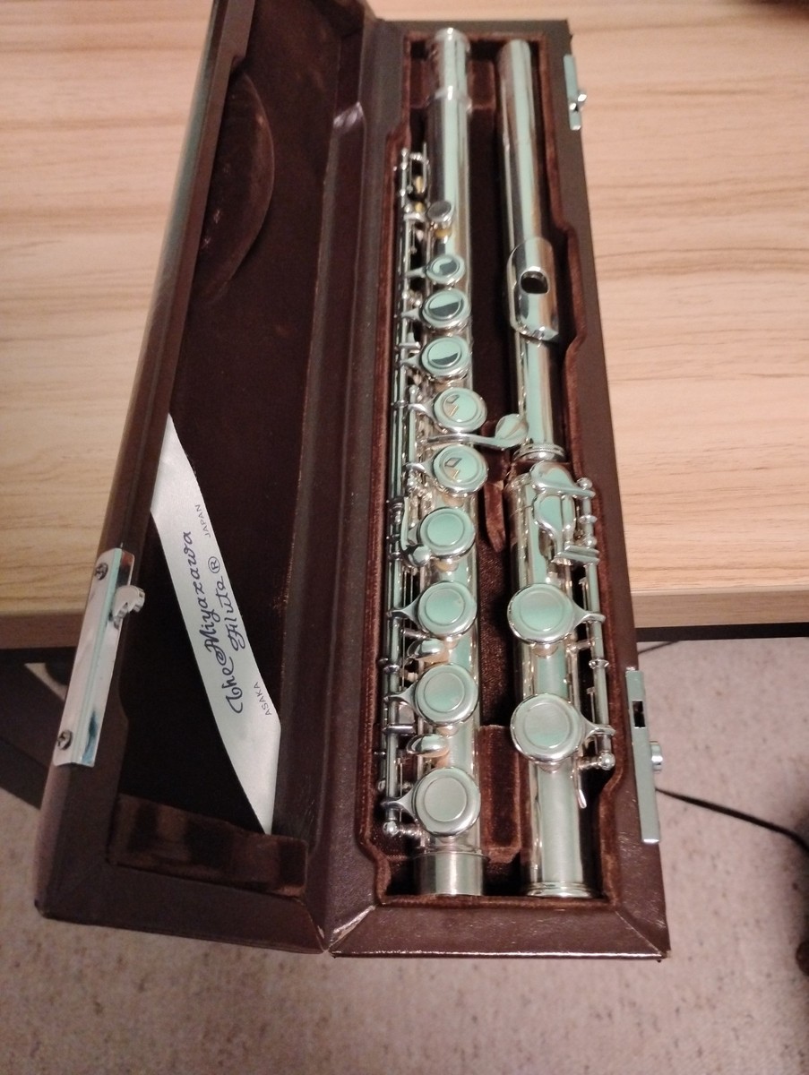 Miyazawa Gi Bu Sl Flute and original hard case, Made in Japan | eBay