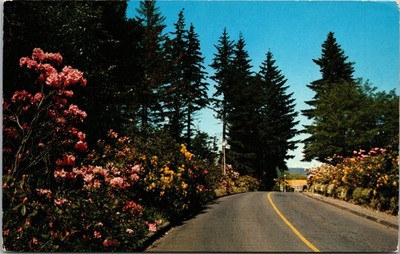 Entrance to Bonneville Dam Oregon Postcard Morton Luman Color Photo B68