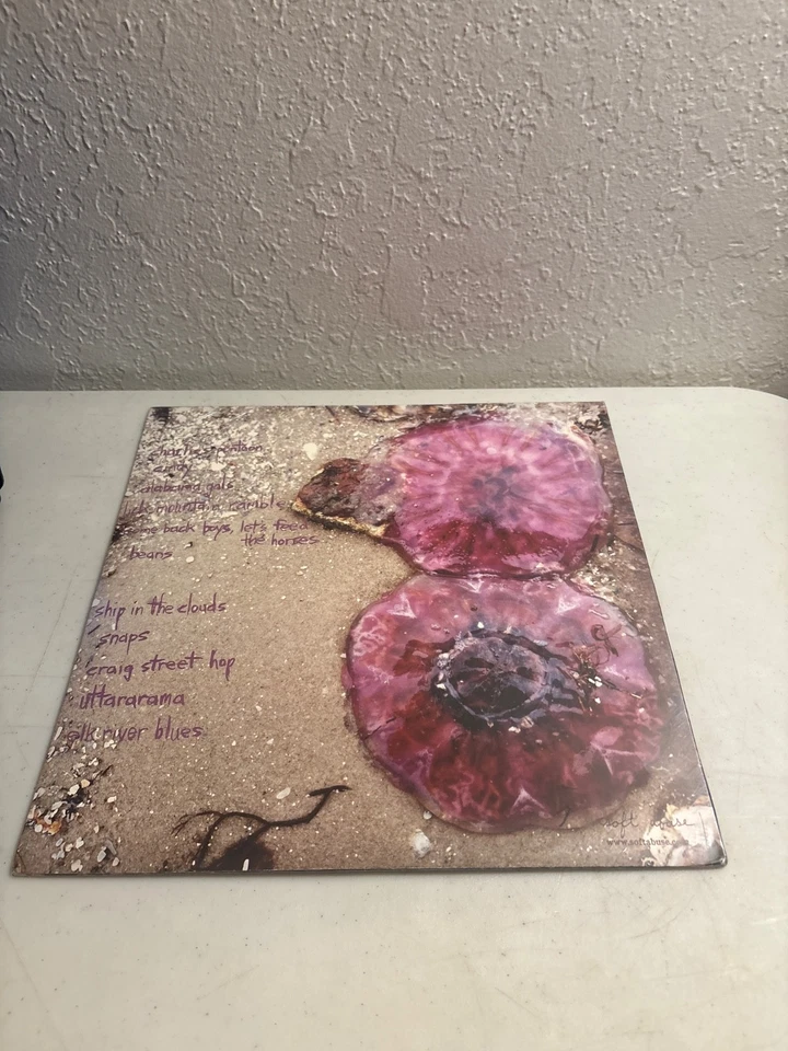 NATHAN BOWLES A BOTTLE A BUCKEYE VINYL RECORD LP 2012 ON SOFT ABUSE NEW & SEALED - Image 2 of 2