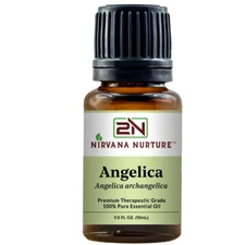 Angelica Essential Oil 100% Pure Natural Premium Therapeutic Grade Undiluted