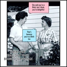 Fridge Fun Refrigerator Magnet "I'M DELIGHTFUL BECAUSE YOU'RE A BITCH TOO" Funny
