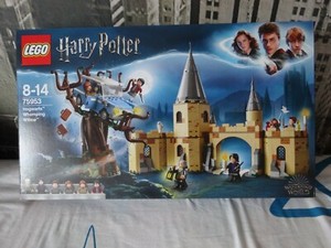75953 harry potter