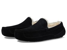 Man's Slippers UGG Ascot