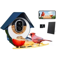 Smart Bird Feeder with Camera, AI Identify Bird Feeder Camera with Solar Pann...