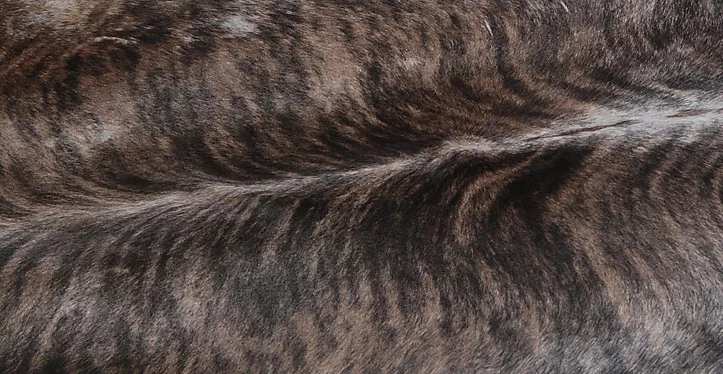 100% Original Kuhfell Teppich Bereich Skin Leder 27.08 Sq.feet (165cmx152cm) - Bild 2 von 3